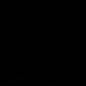 Meet your Posher, Irma